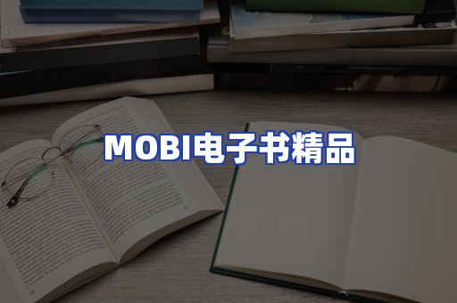 外文电子书产品